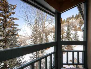 Beaver Creek Bachelor Gulch Home 926066