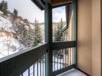 Beaver Creek Bachelor Gulch Home 926070