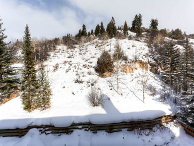 Beaver Creek Bachelor Gulch Home 926070