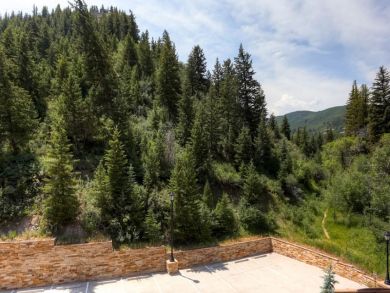 Beaver Creek Bachelor Gulch Home 926105