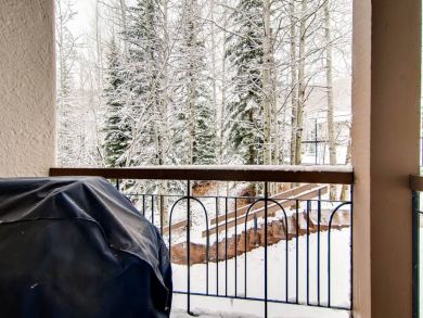 Luxury Three Bedroom Condo Ski-in Ski-out
