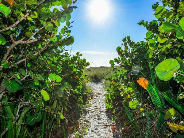 Anna Maria Island Vacation Rental - Luxury 3-Bedroom Home with Pool & Gulf Views