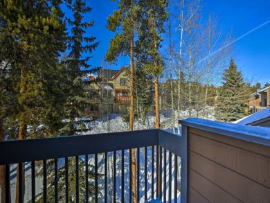 Winter Park Home 926264