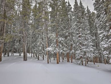 Winter Park Home 926275