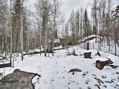 Winter Park Home 926287