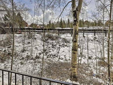 Winter Park Condo 926328