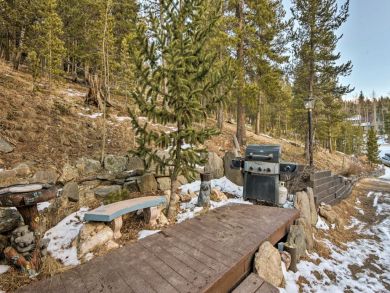 Winter Park Home 926334