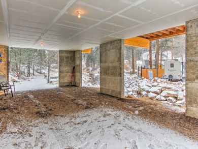 Winter Park Home 926431