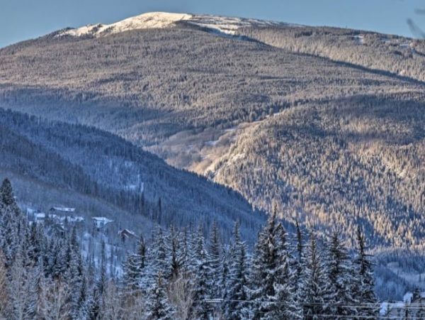 Updated Condo Short Walk to Lionshead & Ski Lifts Sleeps 8