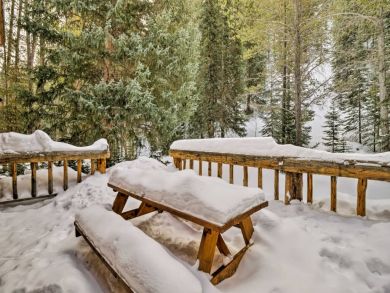 Winter Park Home 926494