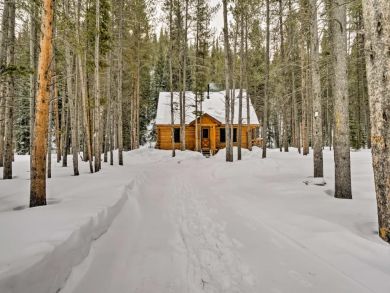 Winter Park Home 926494