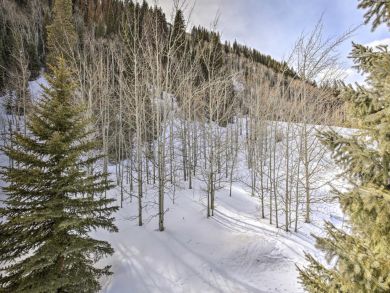 Winter Park Condo 926502