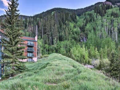 Winter Park Condo 926502