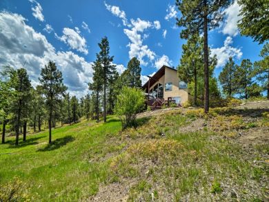 Winter Park Home 926538