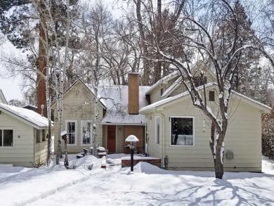 Winter Park Home 926550