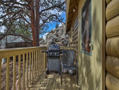 Winter Park Home 926600