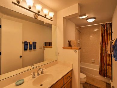 Winter Park Condo 926619