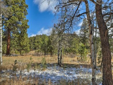 Winter Park Home 926645