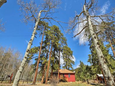 Winter Park Home 926645