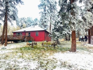 Winter Park Home 926645