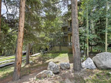 Winter Park Condo 926659
