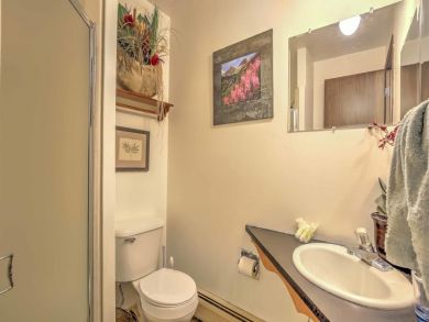 Winter Park Condo 926718