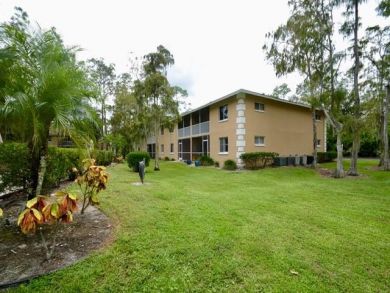 Naples Vacation Rental Condo Two Bedrooms Sleeps 4 Guests
