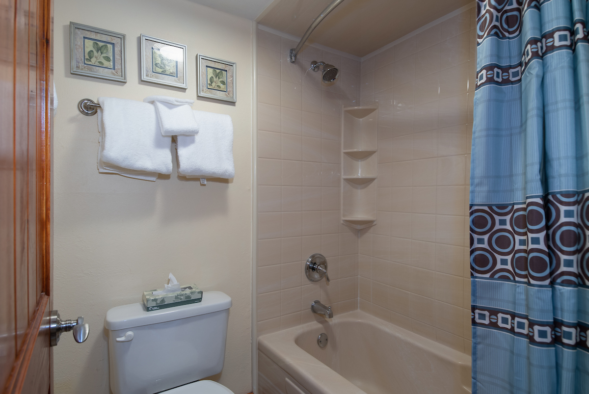 Breckenridge Condo 926761