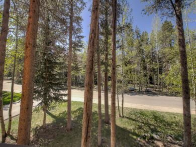 Breckenridge Condo 926780