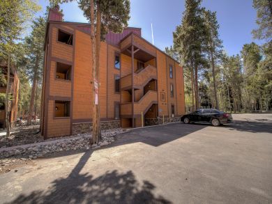 Breckenridge Condo 926780