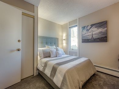 Breckenridge Condo 926789