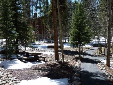 Breckenridge Condo 926796