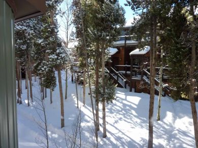 Breckenridge Condo 926800