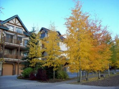 Breckenridge Condo 926802