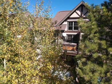 Breckenridge Condo 926803