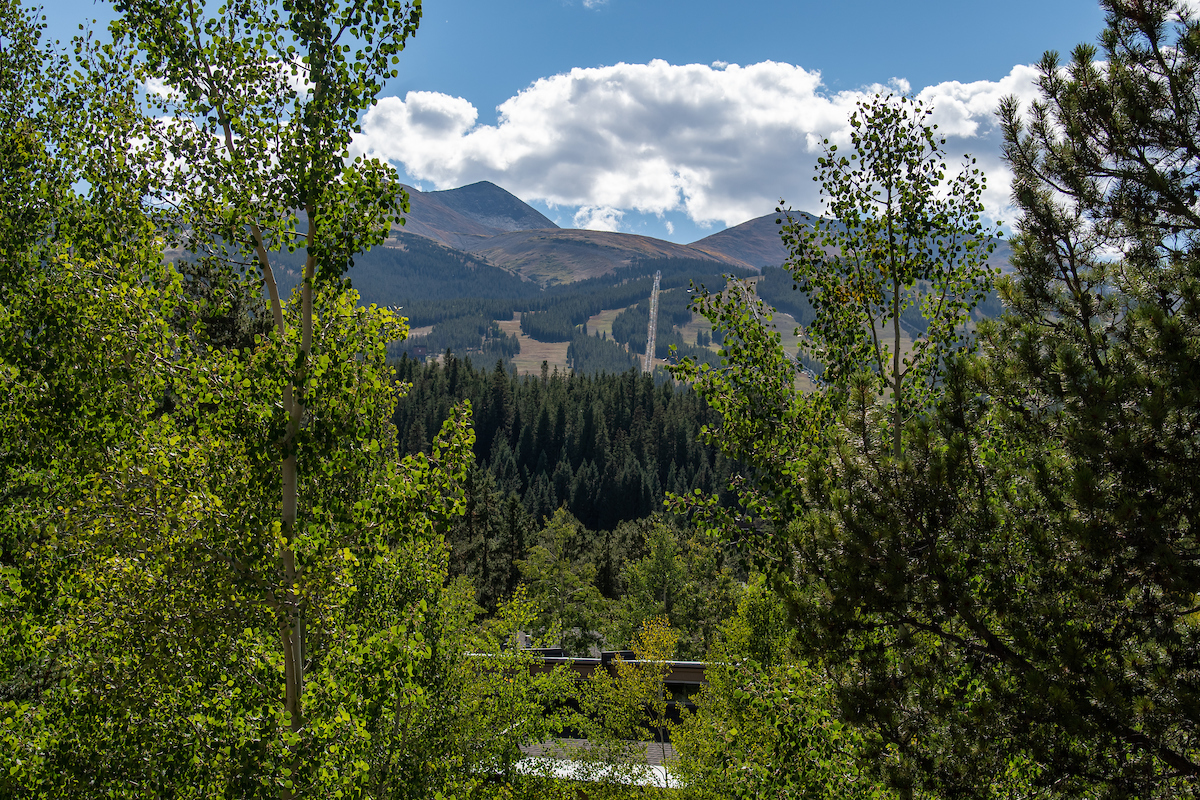 Breckenridge Condo 926803