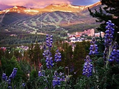 Breckenridge Condo 926804