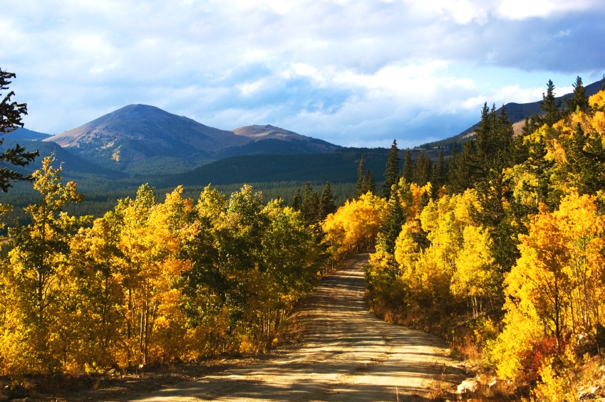 Breckenridge Condo 926804