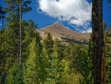 Breckenridge Home 926820