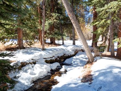 Breckenridge Condo 926849