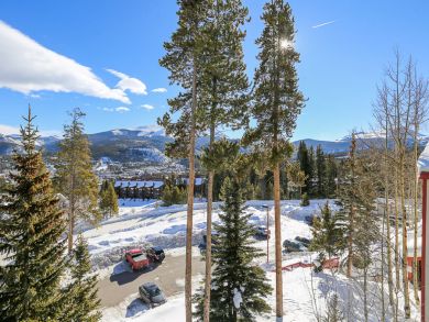 Breckenridge Condo 926856 Breckenridge Condo 926856