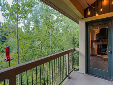 Breckenridge Condo 926859