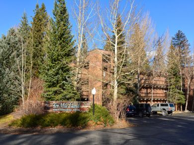 Breckenridge Condo 926862