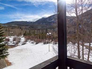 Breckenridge Condo 926863