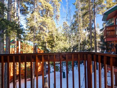 Breckenridge Condo 926868