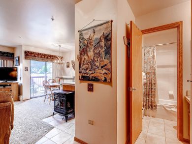Breckenridge Condo 926870