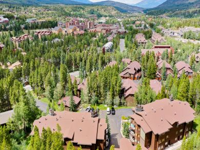 Breckenridge Condo 926871