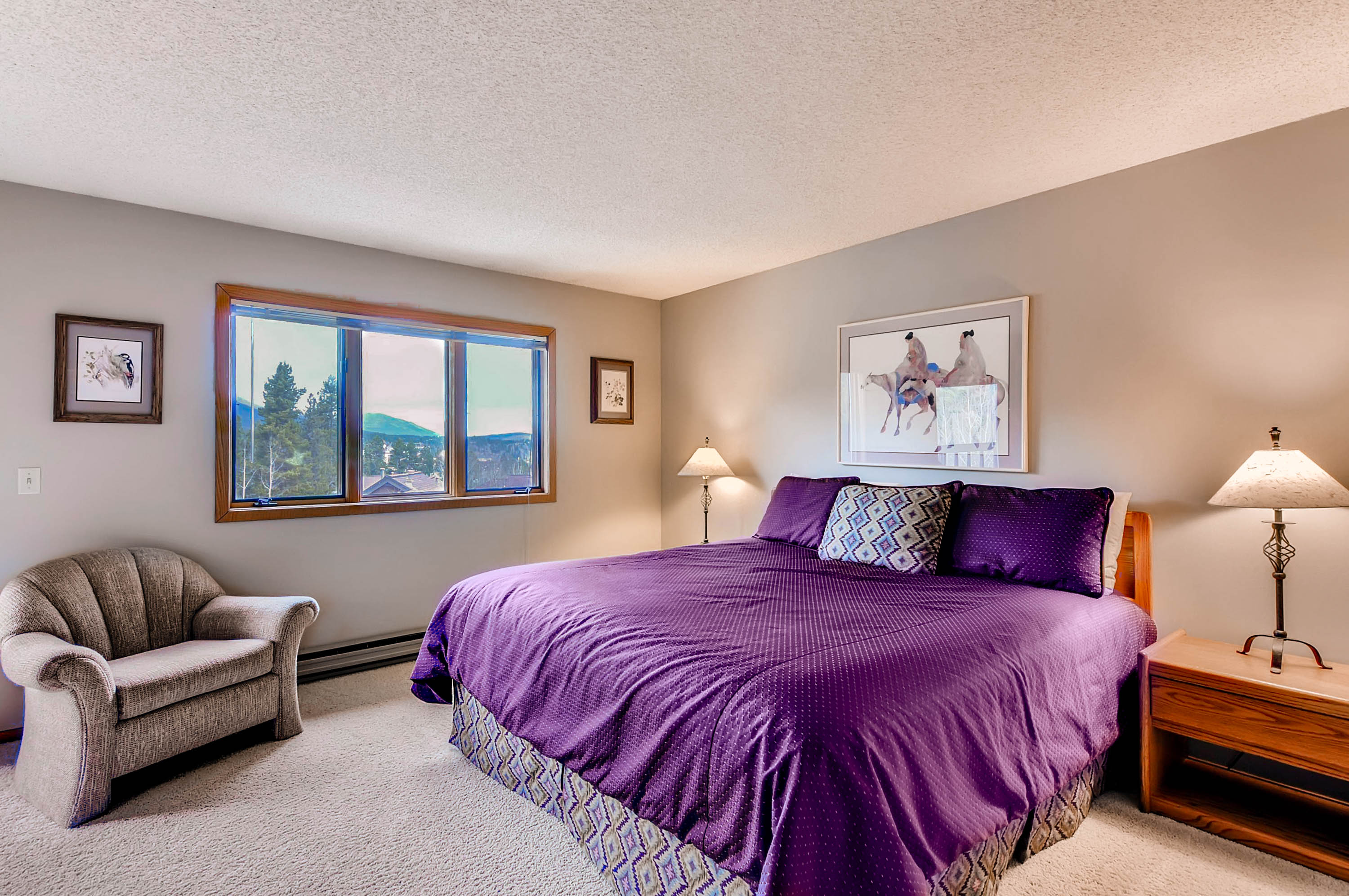 Breckenridge Condo 926871