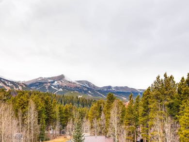 Breckenridge Condo 926871