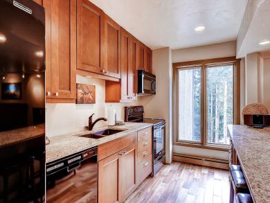 Breckenridge Condo 926872